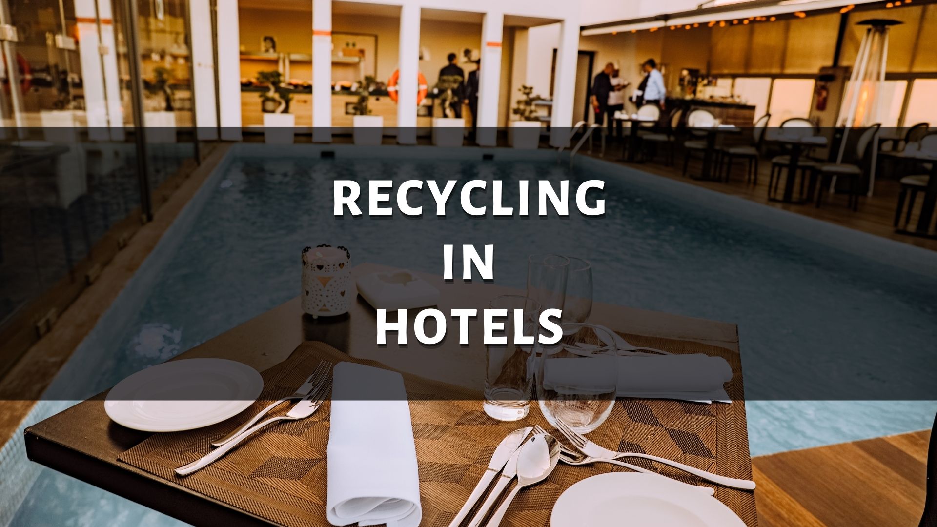 a-comprehensive-note-on-recycling-in-hotels-power-bear